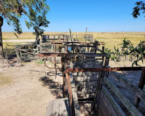 2.228 Has Arrendamiento Ganadero en Pje. San Salvador Corrie