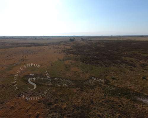 Campo Mixto. 137 HA. Providencia, Santa FE