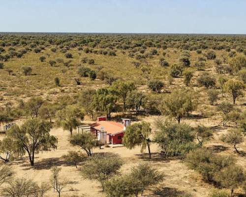 Guanaco Muerto, Cruz del Eje, Córdoba - 4.500 Ha