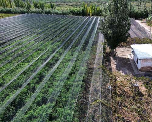 Finca de 15ha D° Riego, Pozo, Goteo.