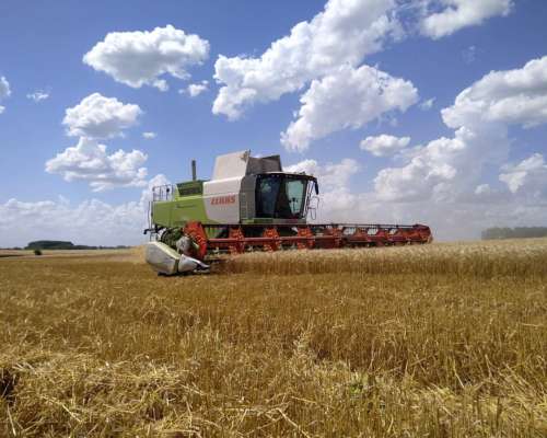 Claas Lexion 750.año 2011. 8500 Hs de Motor.