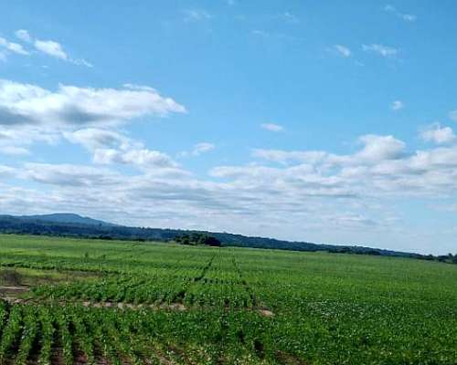 Finca con 120 Hectáreas Embarcación Salta