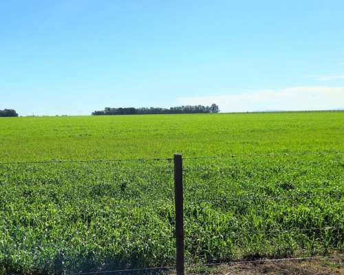 900 Ha Cabildo, Buenos Aires