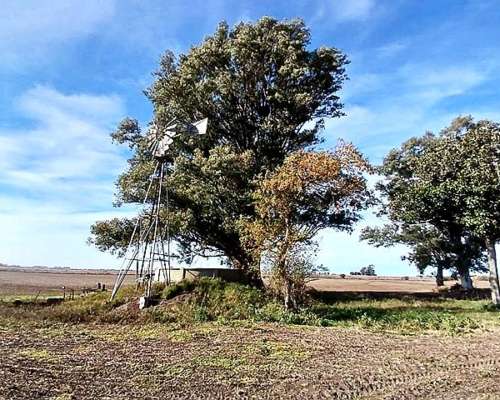 Campo Agrícola-ganadero de 25 Ha en Villa Mugueta