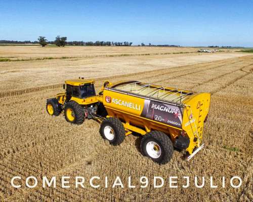 Tolva Autodescargable Ascanelli 20tn - 9 de Julio, BS. AS.