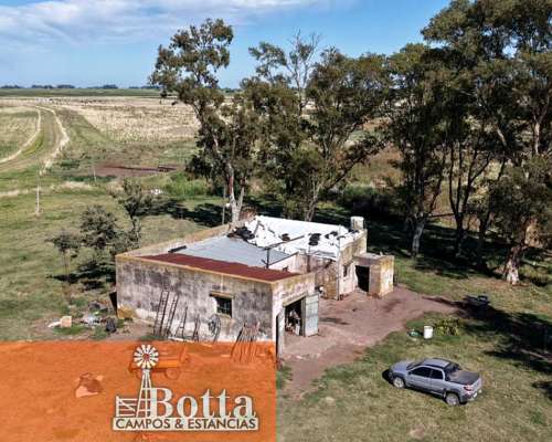 785has Mixtas en Venta en Carlos Casares