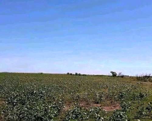 208 Hectáreas Mixtas, Viamonte - CBA