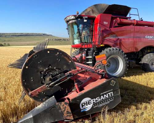 Cosechadora Case IH 7150, año 2023, 1.000 Hs Rotor, 1.800 Hs