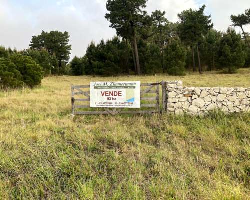 Arenas Verdes -93 HA- Lobería