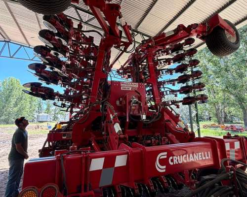 Semb. Grano Fino Crucianelli Drilor 5517 año 2017 a Chorrill