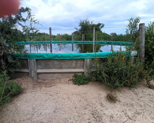 250ha. en las Saladas