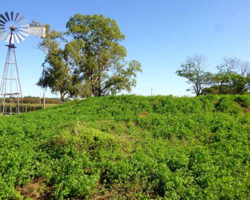 8.443 Has. en Venta - Logroño, 9 de Julio - Santa FE.