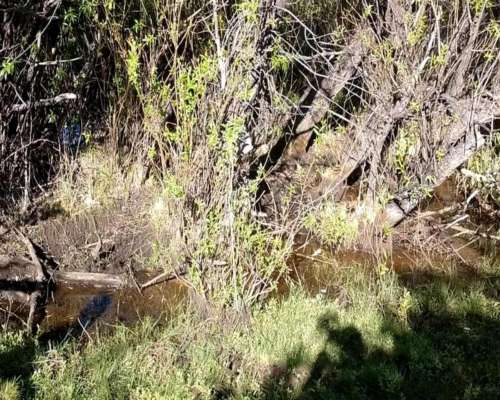 2.5 Ha Paraiso en Epuyen Chubut
