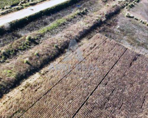 60 Ha Bayauca, Prov. de Buenos Aires