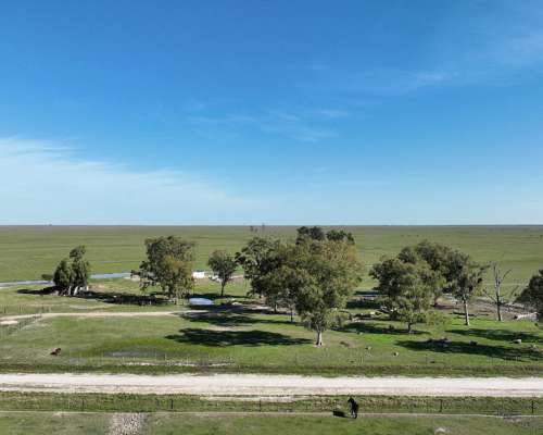 2700 Has. Campo Ganadero en Gualeguaychú