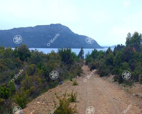 Chacra en Venta 9 Has con Costa Lago Lezana, Cholila, Chubut