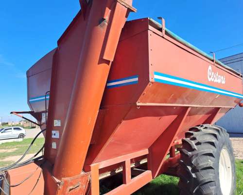 Auto Descargable Marca Cestari