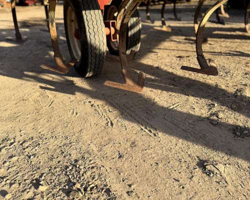 Cultivador de Campo Giorgi C.C.G.4 de 5,60 Mts con 31 Arcos