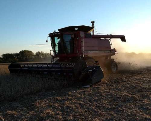 Cosechadora Case 2388 2010