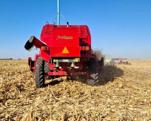 Don Roque 125 Electro, Plat 23p, con Franco de 12 a 52