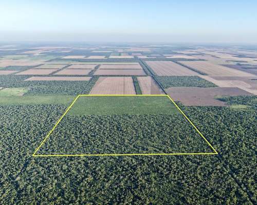 150 Has en Venta - Pcia del Chaco, las Breñas