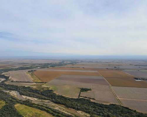 Pcia. de Cordoba - Lozada 72 Ha
