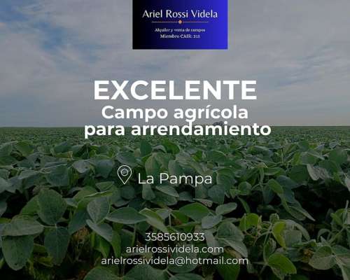 Disponemos de Campo Agricolas en Arrendamiento la Pampa