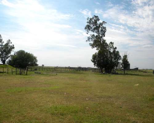 12 Ha en General Alvear MZA 40000 Dolares Sisi Leiste Bien