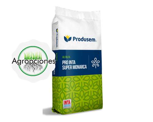 Semilla de Alfalfa Super Monarca - Produsem