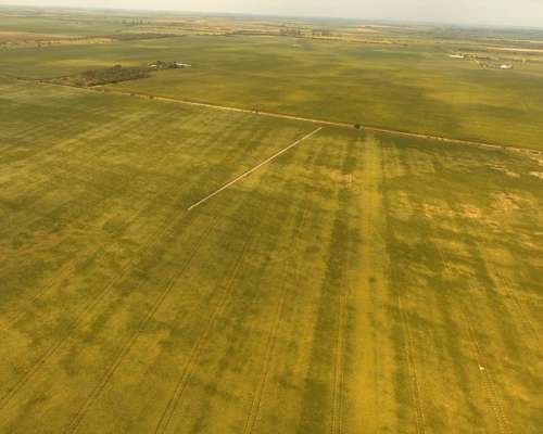Campo en Venta en Rio Segundo, Córdoba
