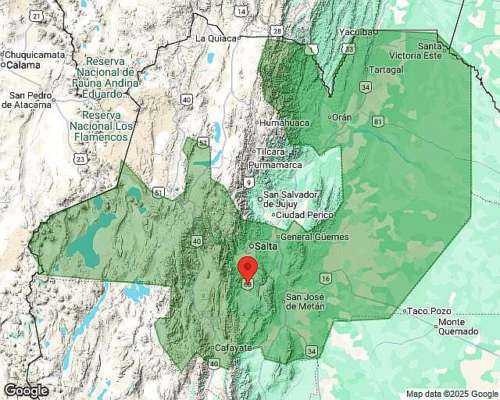 Finca la Viña Salta