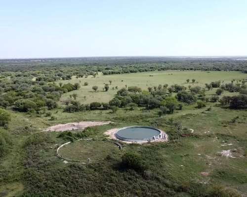Venta / Campo Ganadero / Huanqueros / 1385 Ha
