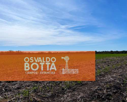 Campo Mixto en Venta 1740has San Jose de Feliciano, ER