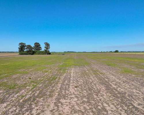 Pcia. de Santa FE - Perez 265 Has