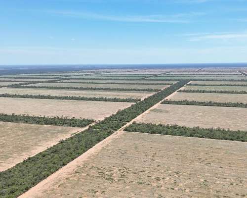 10000 Hectáreas Agrícolas en las Lajitas, Salta