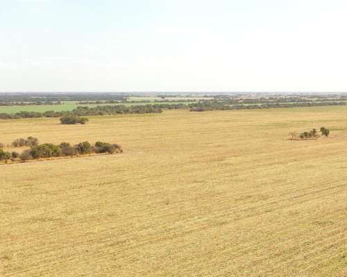 Chalacea, Río Primero, Córdoba - 119 Ha