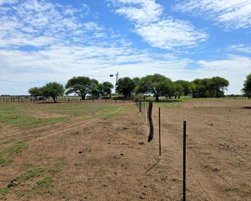 Vendo 500 Ha Mixtas Villa Mercedes