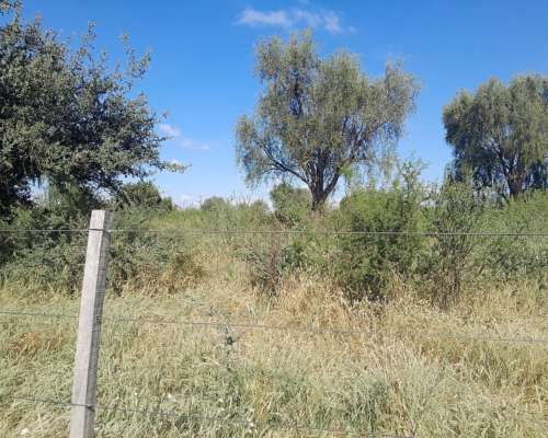 Vdo 1209 Has Mixto Ganaderas Silvopastoril en NOE CBA 700xha