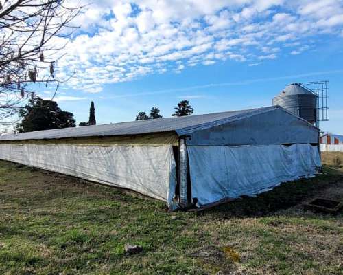 76 Hectáreas en Dto. Uruguay, Entre Ríos