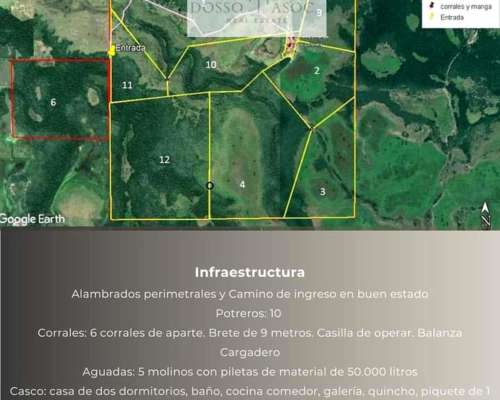 Vende Campo Gral San Martín ‼️ganadero🐄🐂 - Chaco