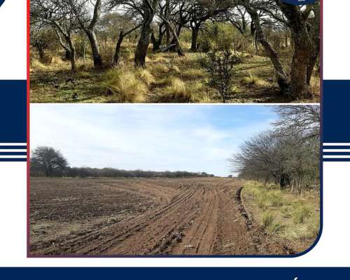 En Venta 750 HA. Chamaicó, la Pampa