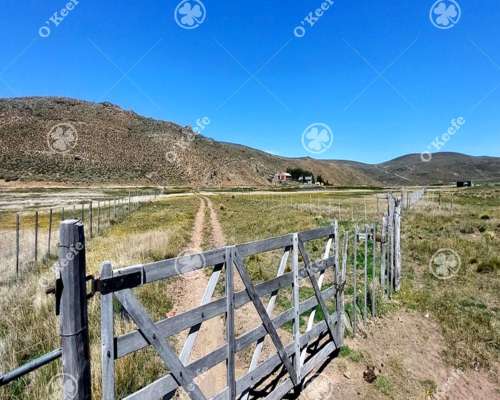 Campo en Venta 4394 Has en las Bayas, Bariloche. Ganadero.