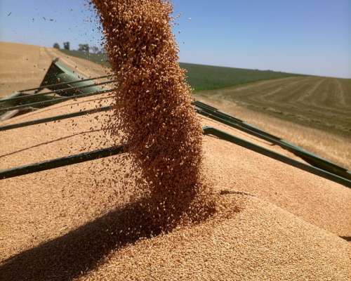 Bernardin M21, Motor Deutz 160hp, Trabajando Actualmente