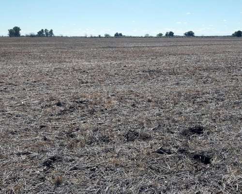 Lm Campos y Estancias