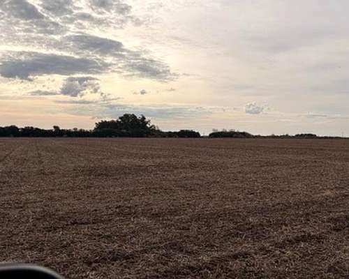 Campo 41hac Agricola Rueda Santa FE