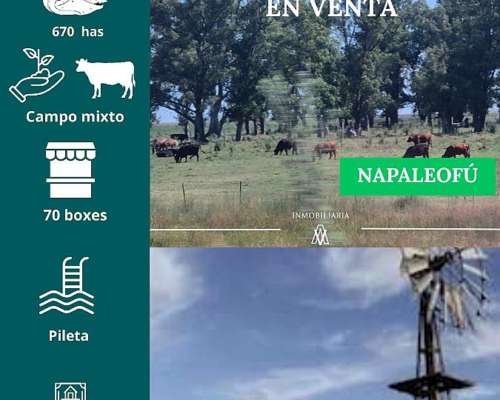 Campo en Napaleofu 670 Has