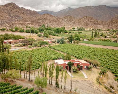 Pcia. de Salta - Bodega Miraluna - Cachi 16 Has