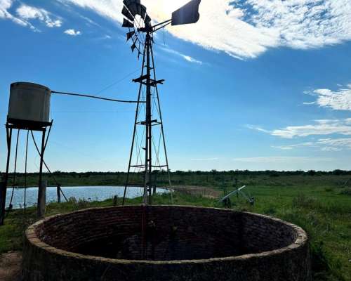 Venta / Campo Ganadero / Huanqueros / 1385 Ha