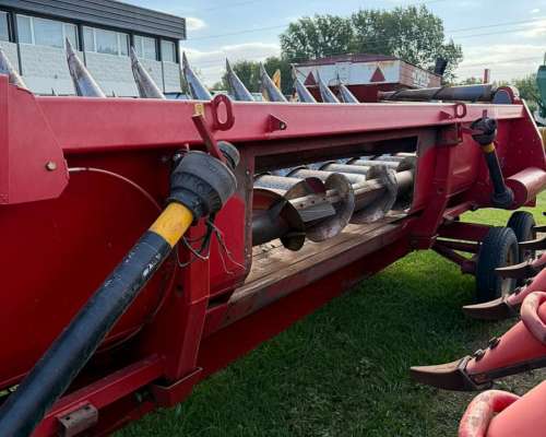 Maicero Mainero 2008 de 13 a 52