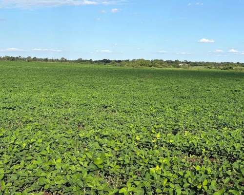 🌿 Campo en Venta — Río del Valle, Dpto. Anta, Salta 164 H